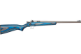 Crickett Rifle G2 .22lr - S-s Blue Laminate