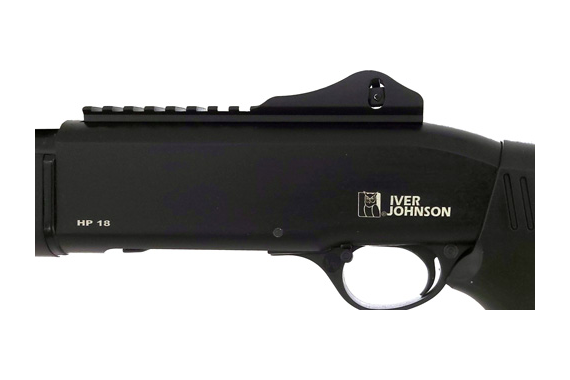 Iver Johnson Auto Hp18 20ga 3