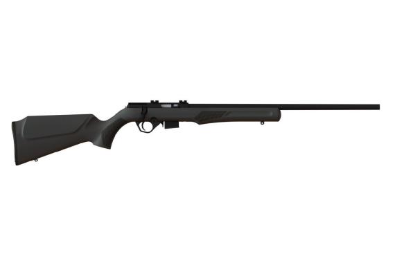 Rossi Rb17 17hmr Blk-syn 21